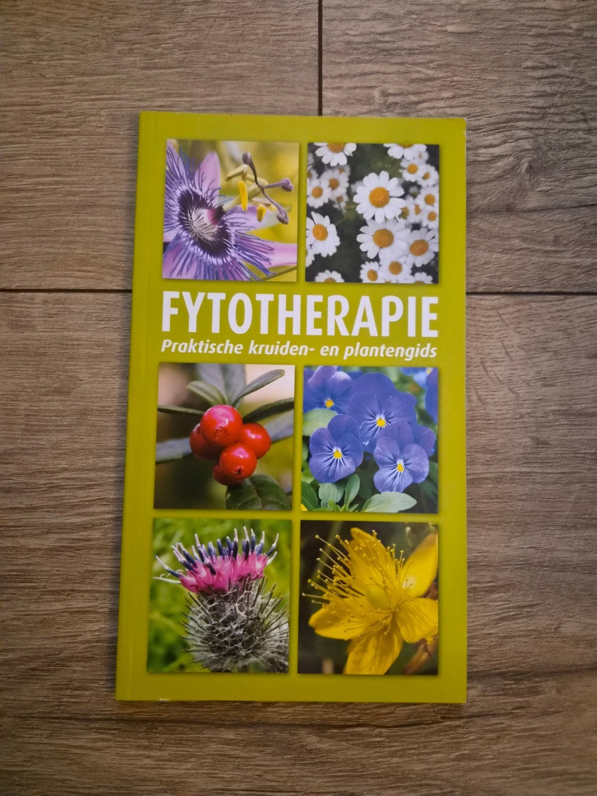 Fytotherapie: Praktische kruiden- en plantengids, Ophalen of Verzenden