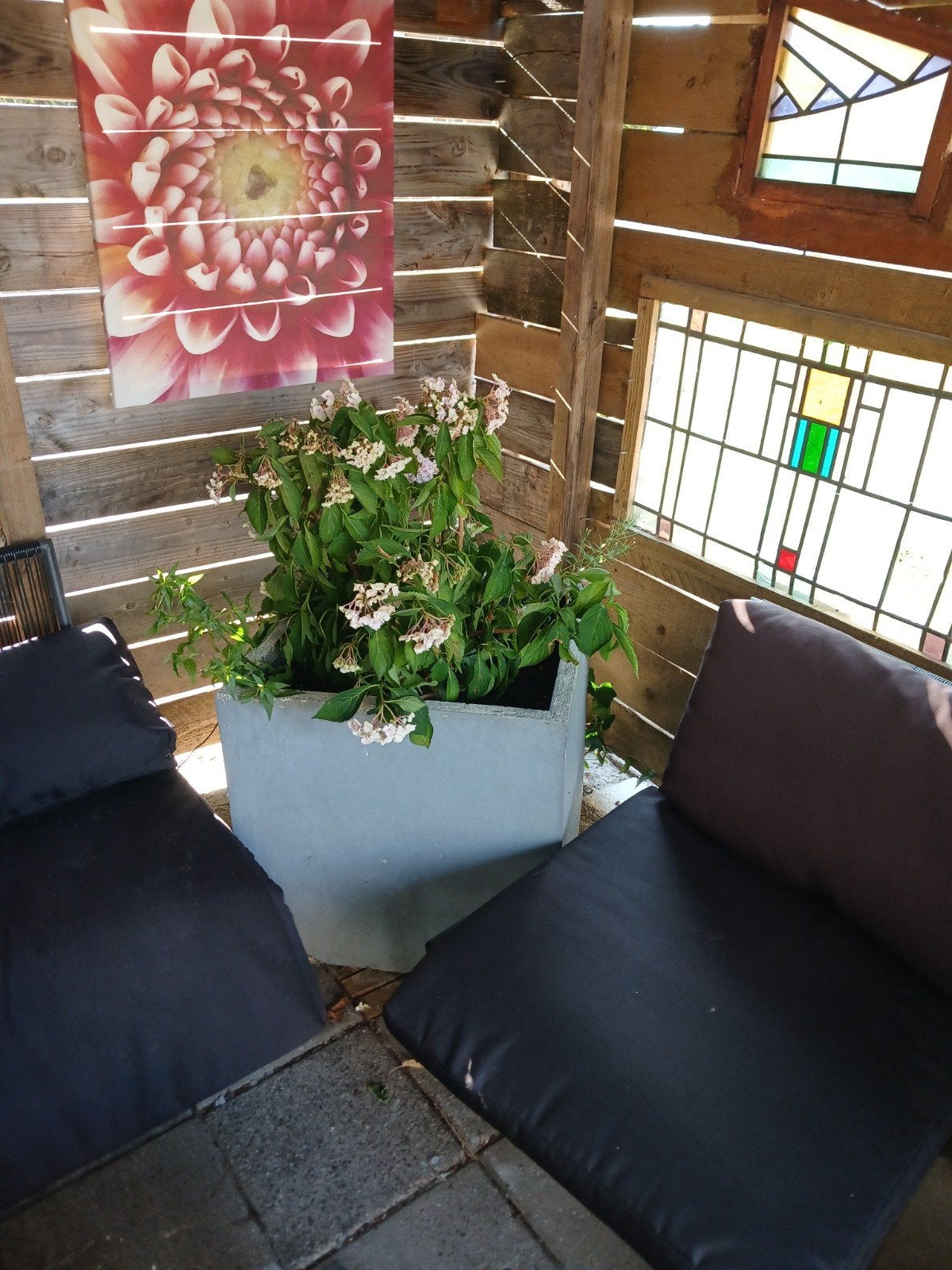 6 Bloembakken met planten, deels met rozen, Tuin en Terras, Bloembakken en Plantenbakken, Ophalen, Gebruikt, Minder dan 60 cm