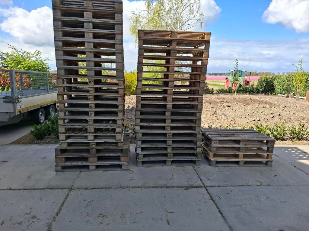 Pallets, Ophalen, Overige houtsoorten, Minder dan 200 cm, Pallet