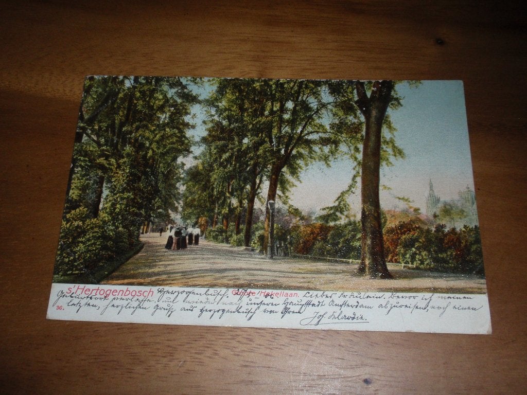 Den Bosch Groote Hekellaan, Verzenden, Voor 1920, Gelopen, Noord-Brabant