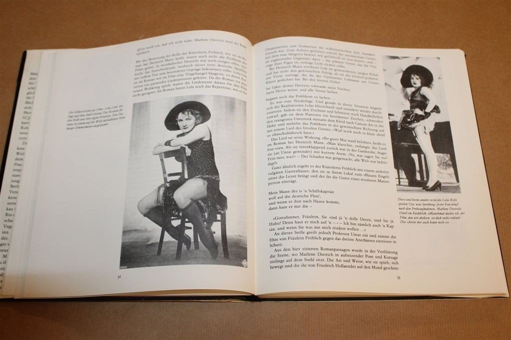 Marlene Dietrich — Ihr Weg zum Chanson, Duitse Biografie, Boeken, Ophalen of Verzenden, Gelezen