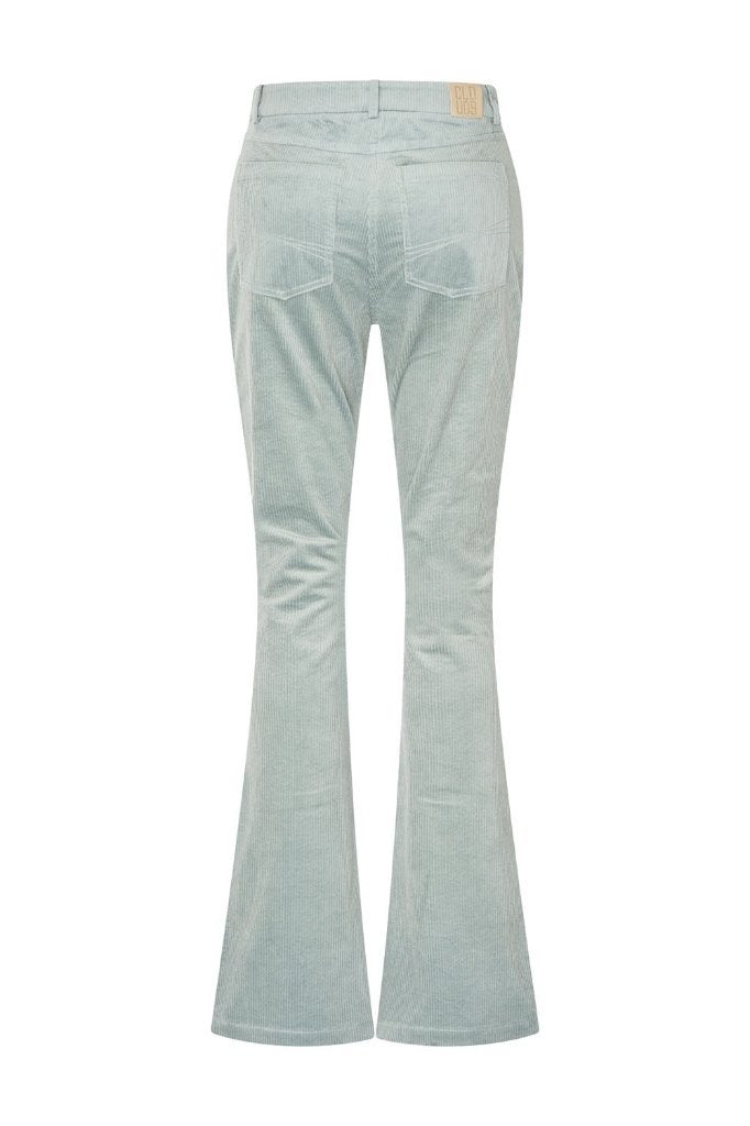 Nieuwe zilch broek met 50% korting, Kapellestraat 13 sluis, Bubbles, Maat 46/48 (XL) of groter, Nieuw