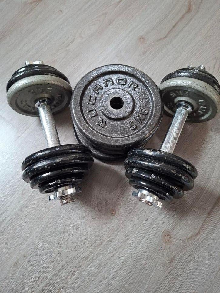 Dumbbell Set - Rucanor totaal gewicht 42kg, Ophalen, Gebruikt, Overige typen, Metaal