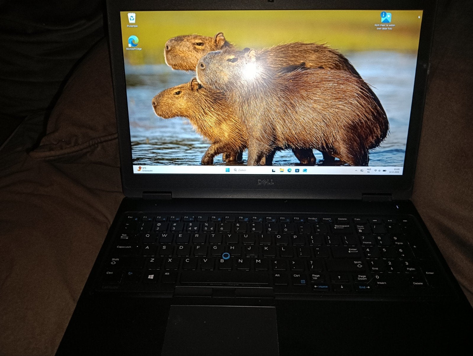 dell 5580 i5 v pro TE KOOP, Ophalen, Intel Core i5 vPro, Zo goed als nieuw, 17 inch of meer