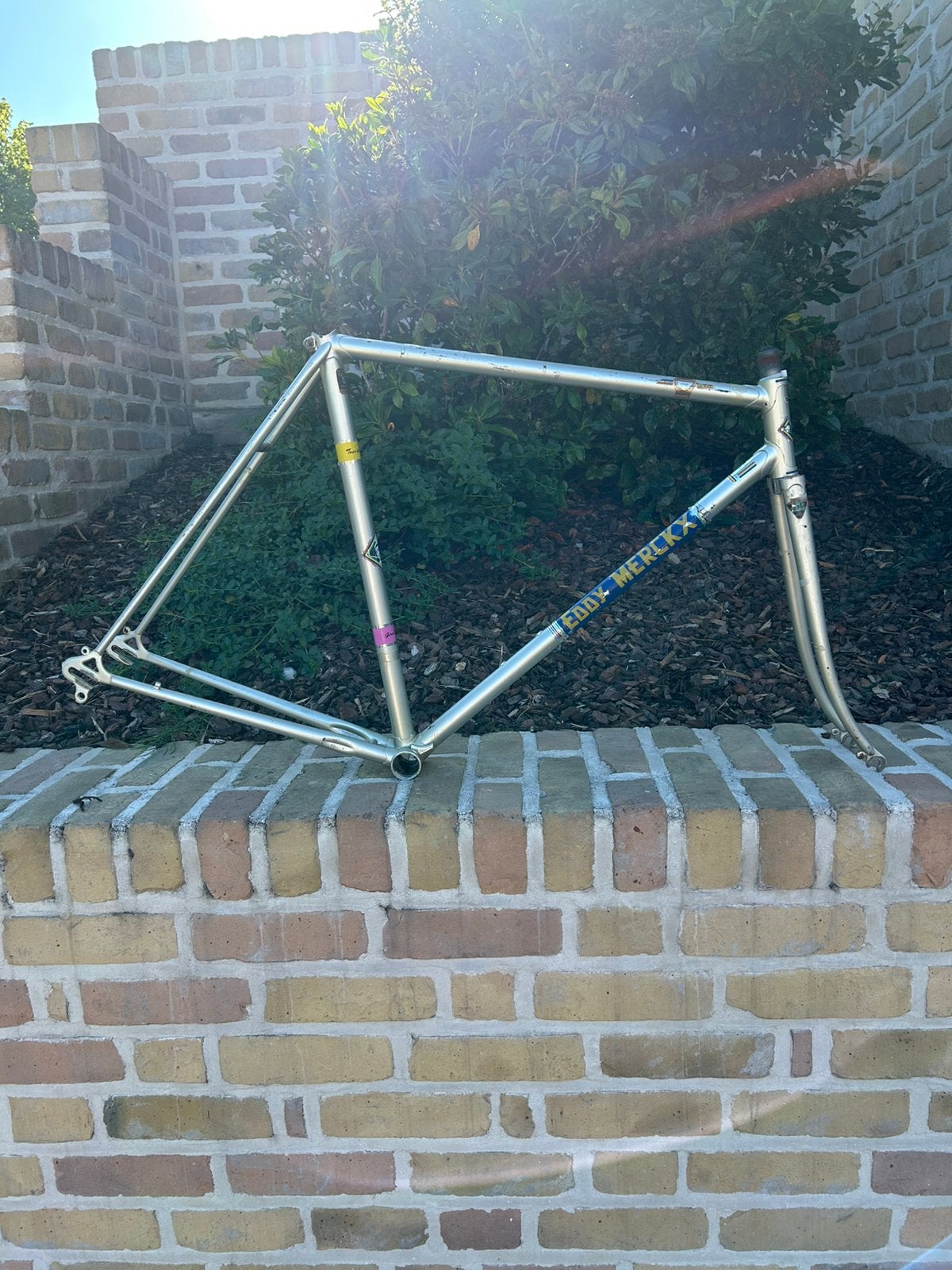 Eddy Merckx Kessels, Ophalen of Verzenden