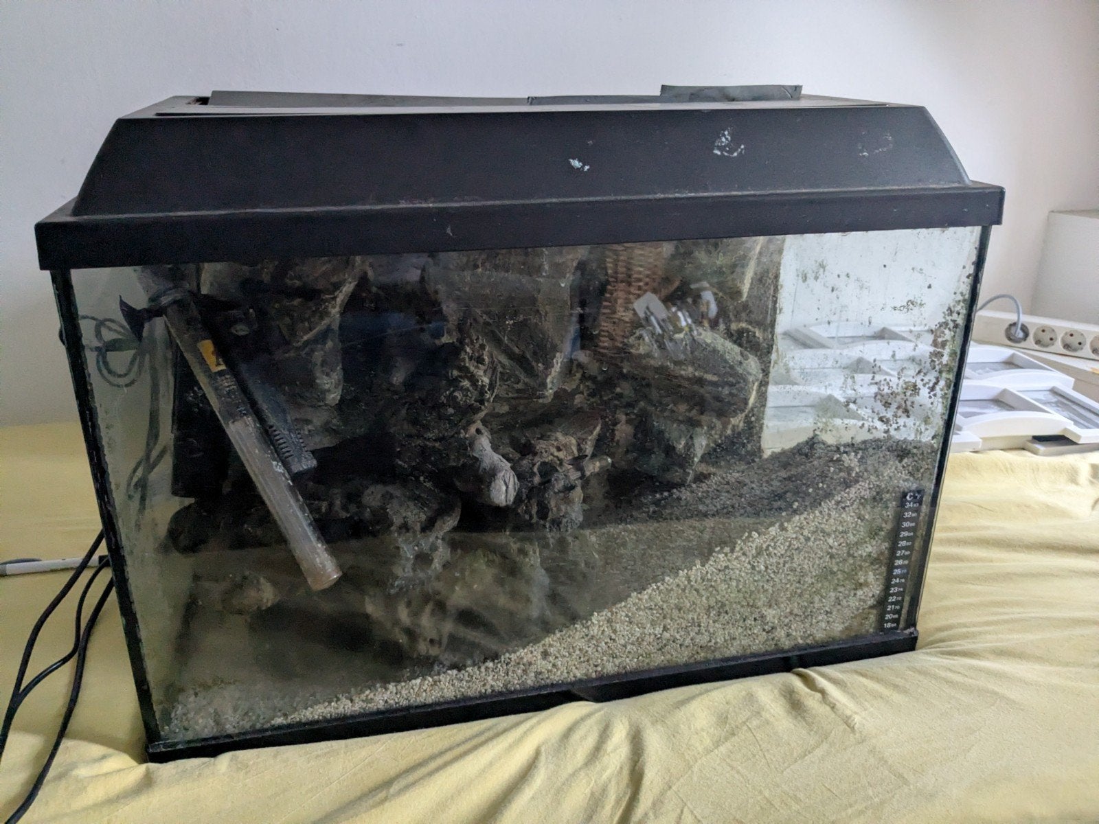 aquarium 60 cm breed, compleet, geen vissen, Ophalen, Inclusief deksel, Gebruikt, Leeg aquarium