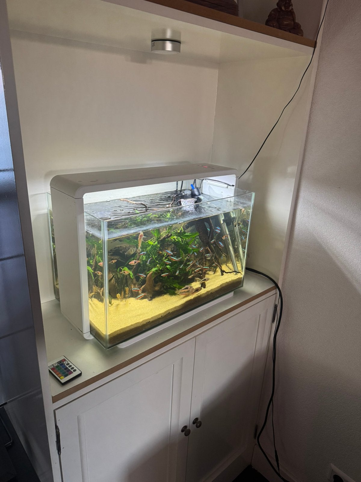 Superfish Home 60 Aquarium, Dieren en Toebehoren, Vissen | Aquaria en Toebehoren, Ophalen, Zo goed als nieuw, Leeg aquarium