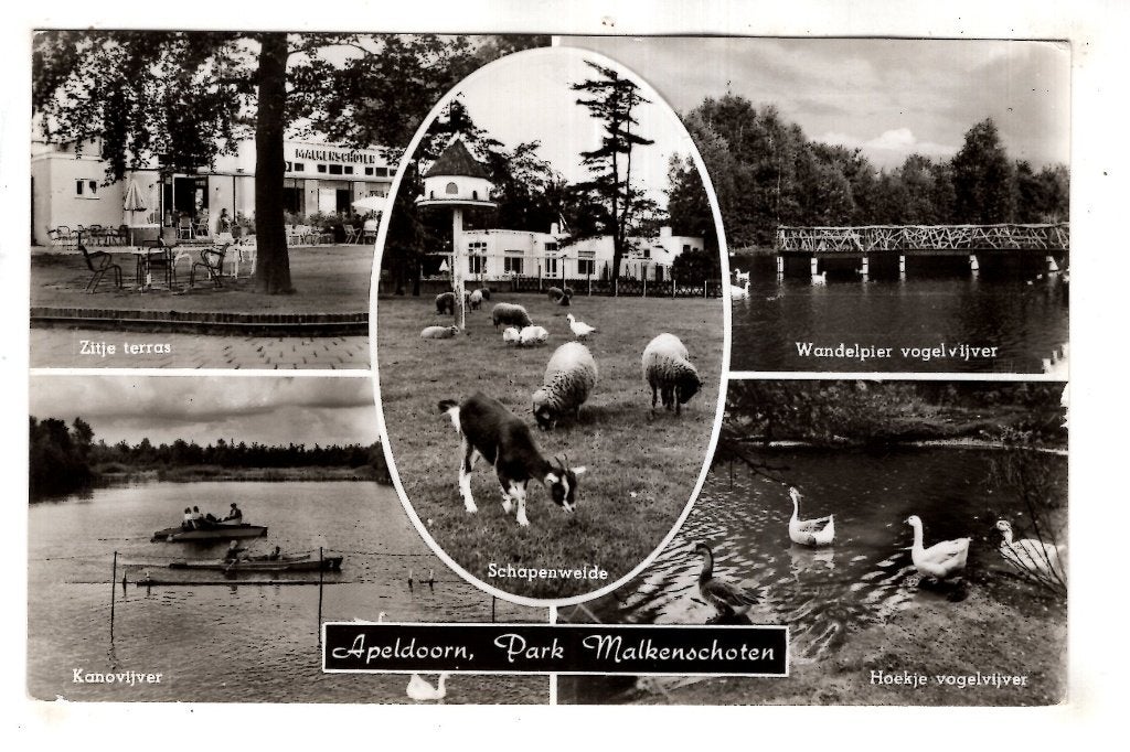 Apeldoorn 2 Dierentuin Malkenschoten, Verzenden, 1940 tot 1960, Gelderland
