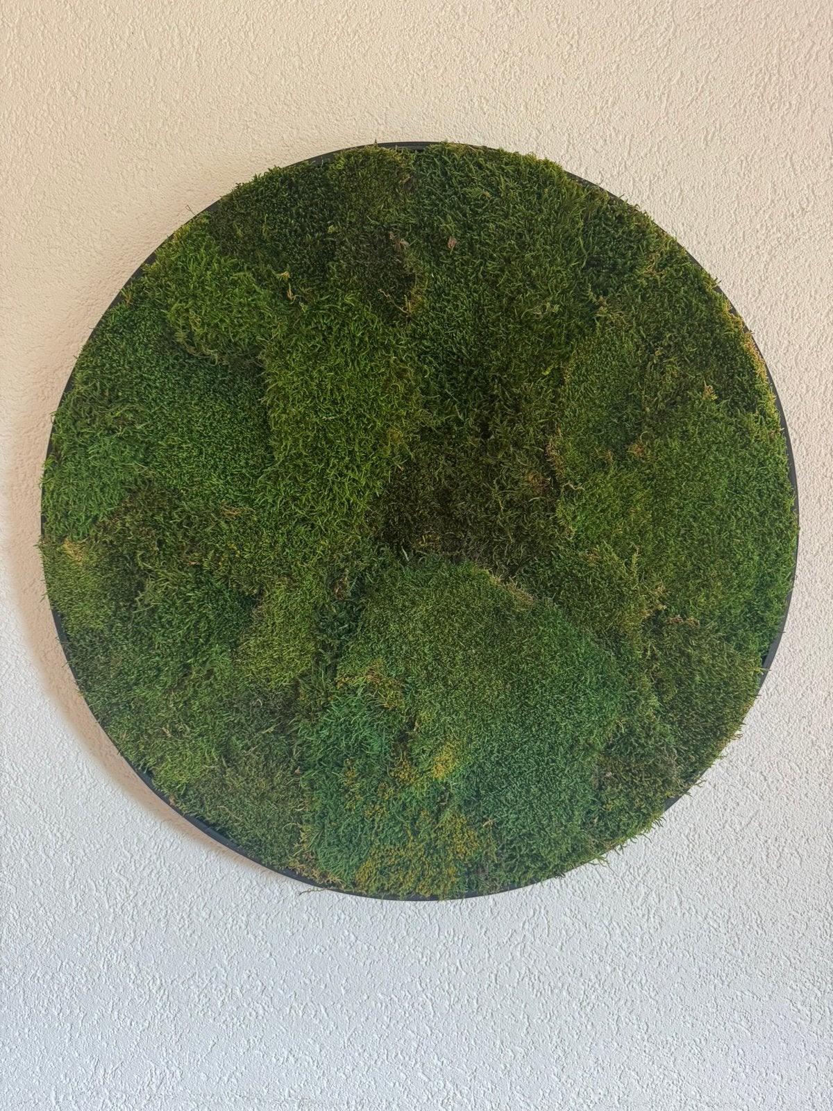 Moswand 80x80cm, Groen, Nieuw, Ophalen of Verzenden, Natuurlijk materiaal
