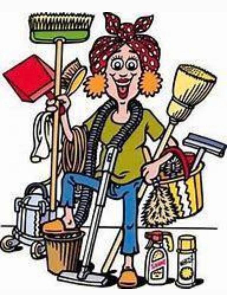 Betrouwbare schoonmaakster aangeboden, Vacatures, Vacatures | Schoonmaak en Facilitaire diensten, Vanaf 10 jaar, Overige vormen