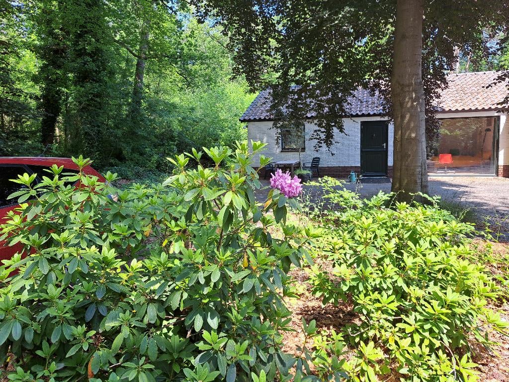Tijdelijke huur  of vakantiehuur mooi gelegen huisje, In bos, Internet, Noord-Holland, Landelijk