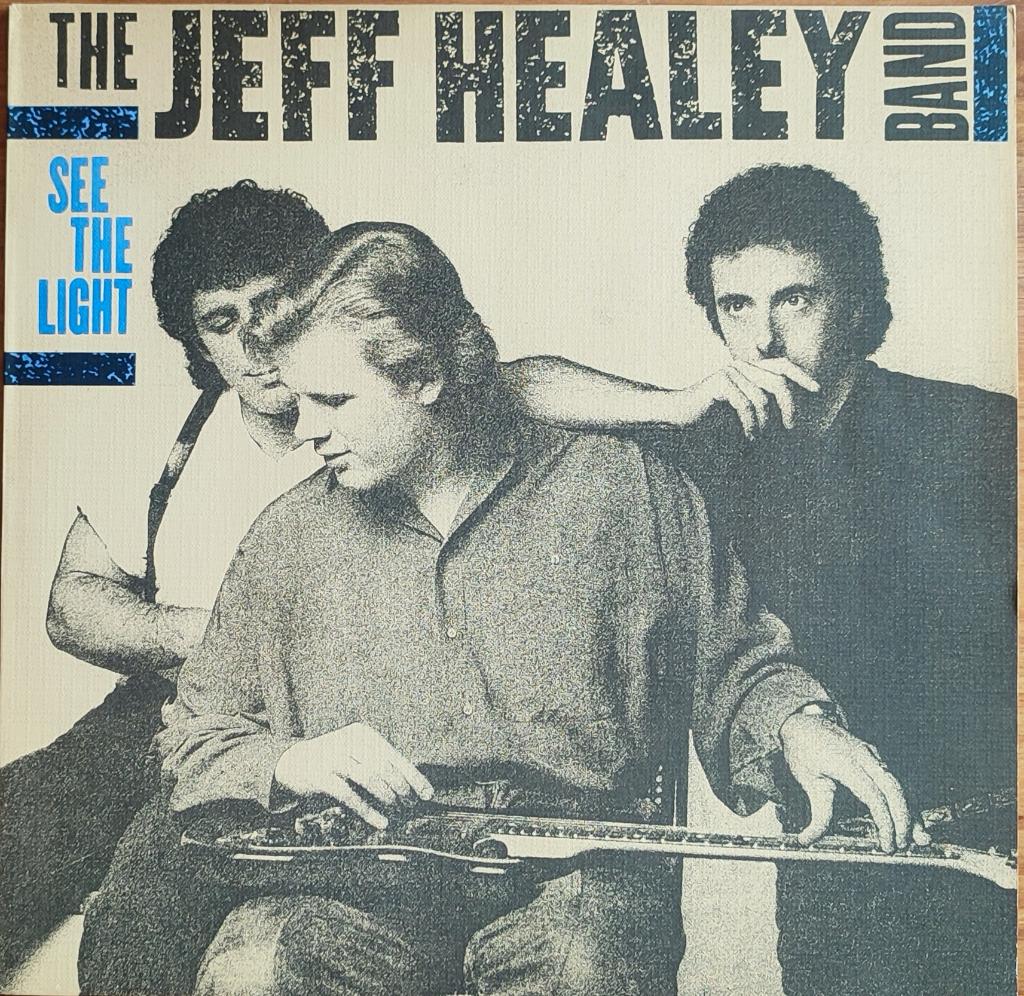 JEFF HEALEY BAND - SEE THE LIGHT 1988 - VINYL, Gebruikt, 1980 - 1989, Ophalen of Verzenden, 12 inch