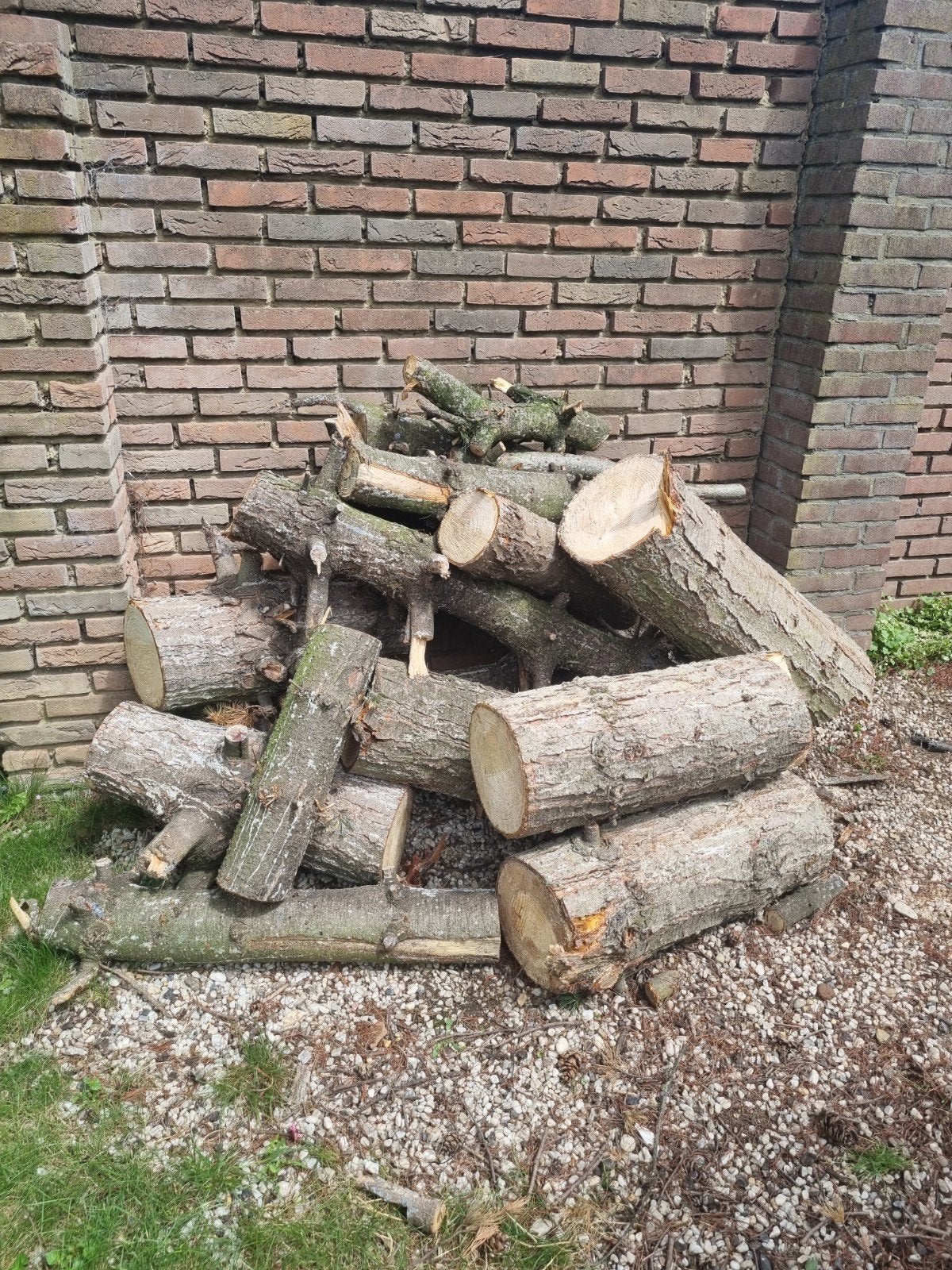 Brandhout - Diverse houtsoorten, Tuin en Terras, Haardhout, 3 tot 6 m³, Ophalen of Verzenden, Overige houtsoorten, Blokken