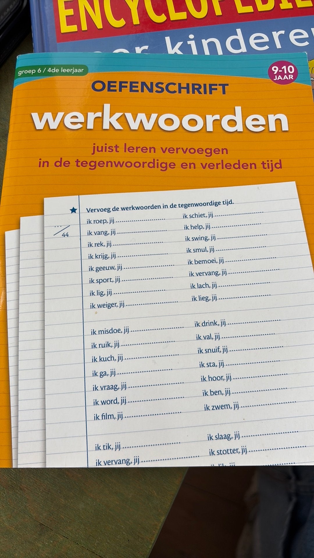 oefenboek voor werkwoorden, Boeken, Ophalen of Verzenden, Zo goed als nieuw, Overige niveaus, Nederlands
