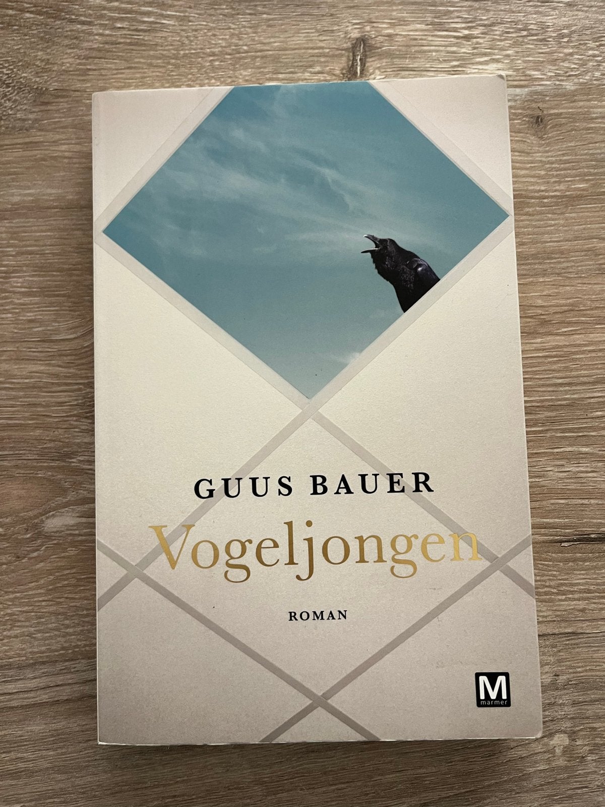 Vogeljongen - Guus Bauer (Roman), Ophalen of Verzenden, Zo goed als nieuw, Nederland