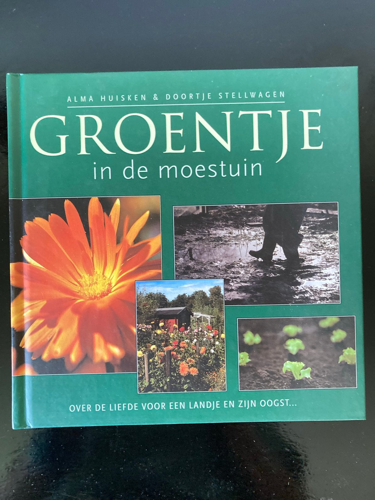 Groentje in de moestuin - Alma Huisken & Doortje Stellwagen, Ophalen of Verzenden, Zo goed als nieuw, Moestuin