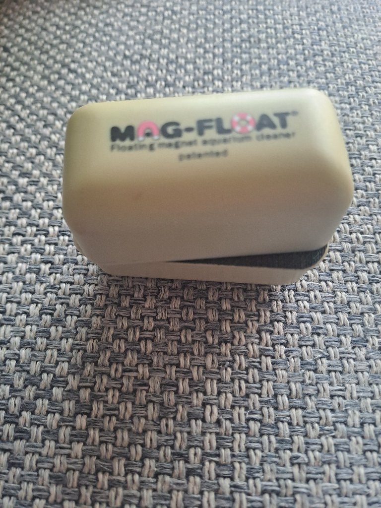 Magnet aquarium  mag Float aquarium cleaner, Ophalen of Verzenden, Zo goed als nieuw, Overige typen, Overige merken
