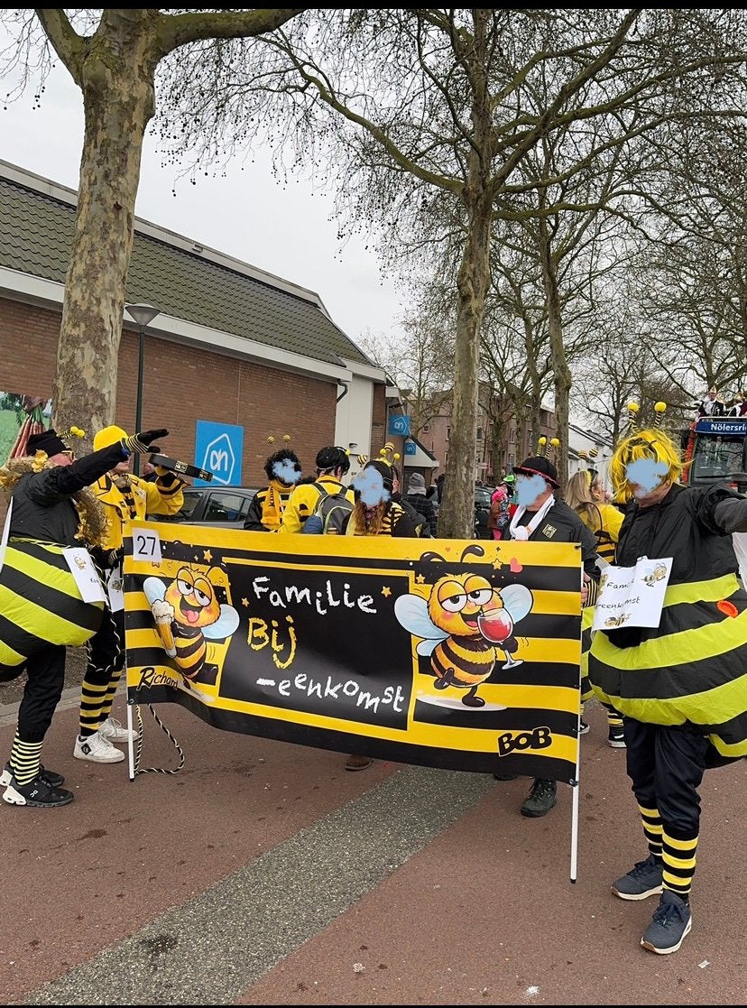 Opblaas bijenpakken, Ophalen, Zo goed als nieuw, Carnaval