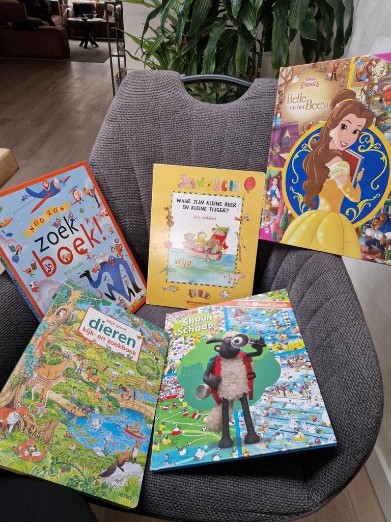 Zoekboeken diverse, Ophalen of Verzenden, Gelezen, Diverse auteurs, Fictie algemeen