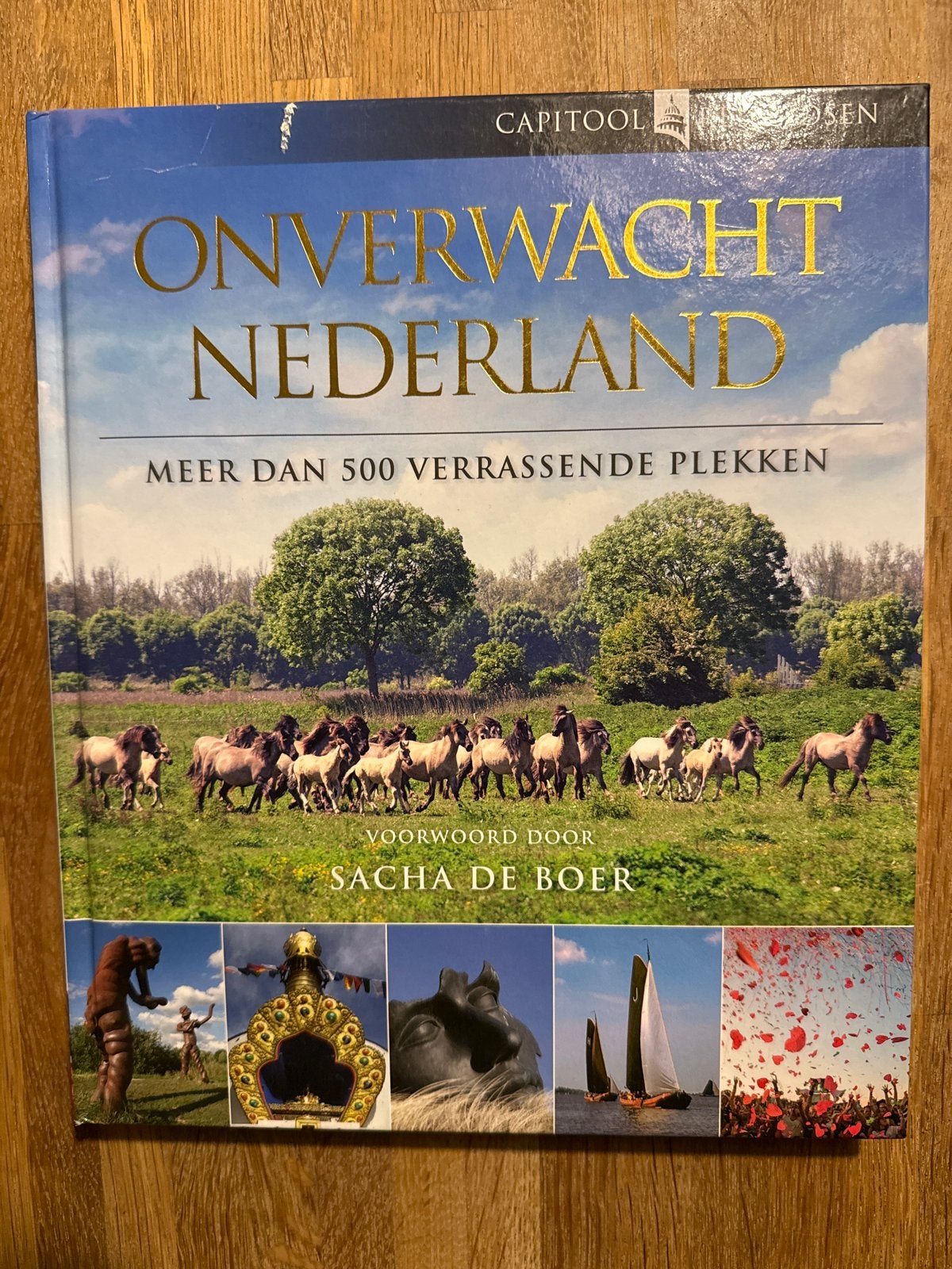 Onverwacht Nederland: Meer dan 500 verrassende plekken, Boeken, Reisgidsen, Capitool, Ophalen of Verzenden, Zo goed als nieuw
