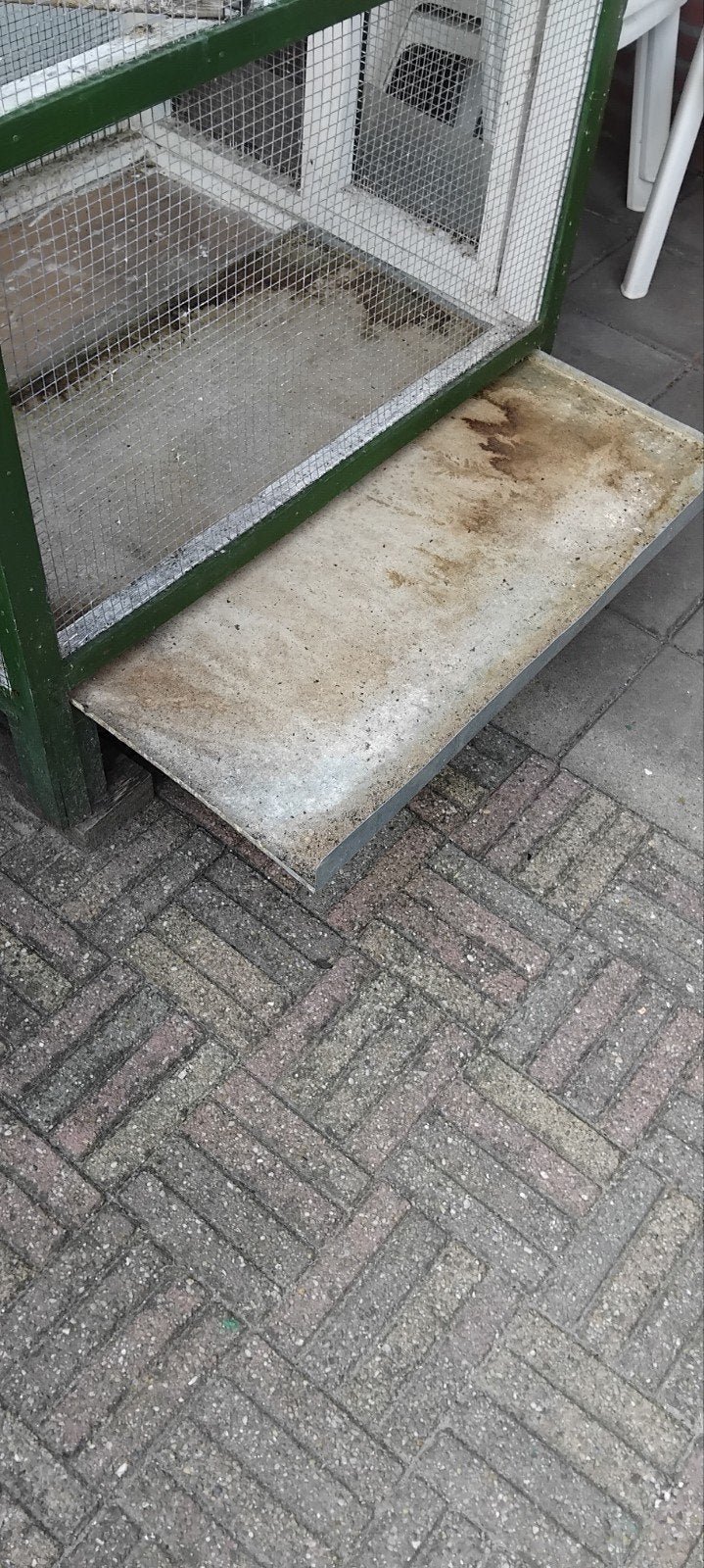 Vogelkooi, Dieren en Toebehoren, Knaagdieren en Konijnen | Hokken en Kooien, Ophalen, Kooi, Gebruikt, Minder dan 75 cm