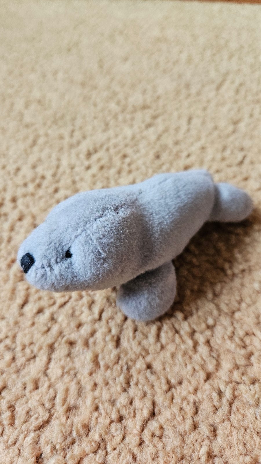 Mini Zeehond knuffeltje, Ophalen of Verzenden, Overige typen