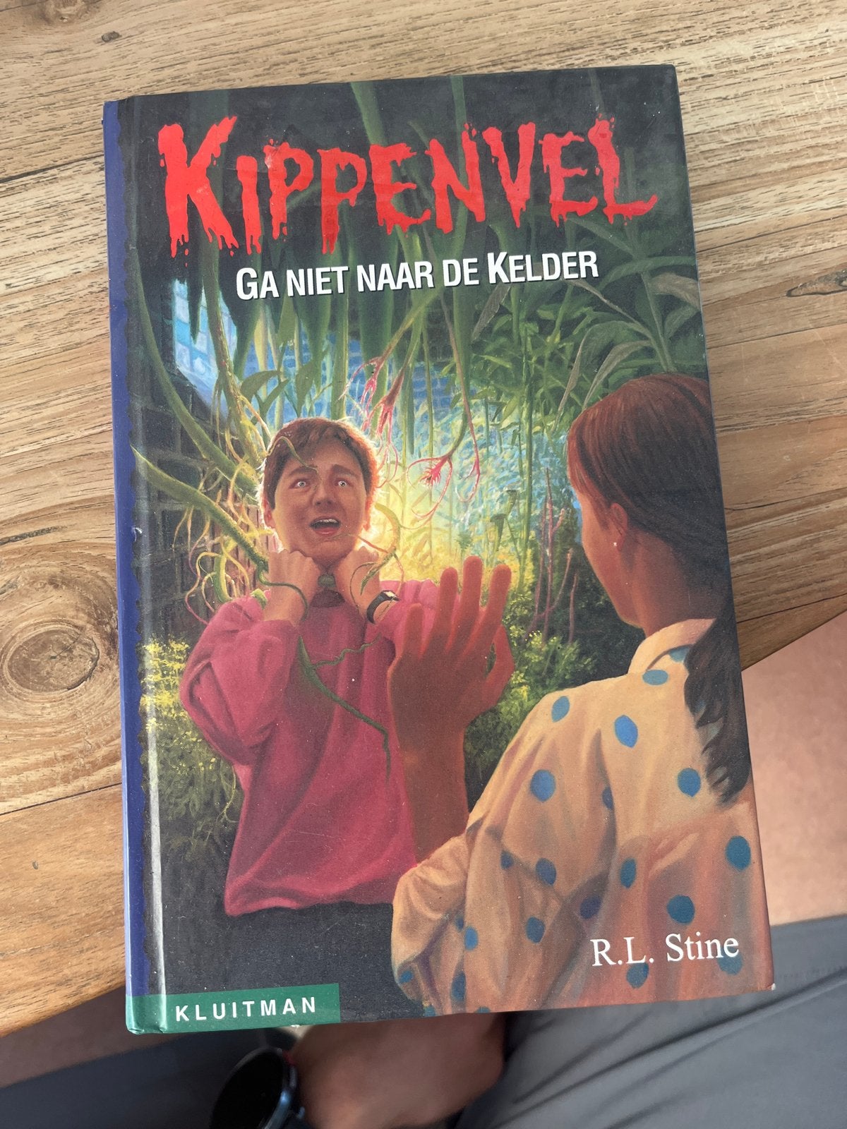 R.L. Stine - Ga niet naar de kelder, Ophalen of Verzenden, Zo goed als nieuw, R.L. Stine