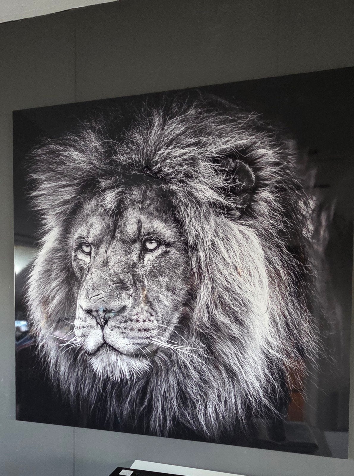 Plexiglas Leeuw schilderij, Ophalen, Zo goed als nieuw, Schilderij, 75 tot 100 cm