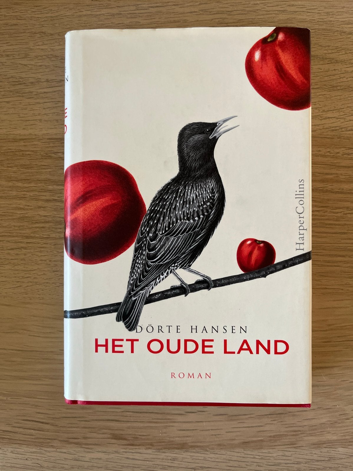 Het Oude Land - Dorthe Hansen (Roman, hardcover), Ophalen of Verzenden, Zo goed als nieuw, Europa overig
