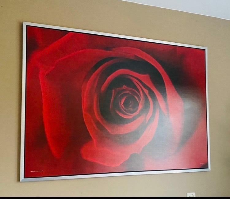Grote rode roos wanddecoratie / schilderij, Ophalen, 125 cm of meer, Zo goed als nieuw, Schilderij
