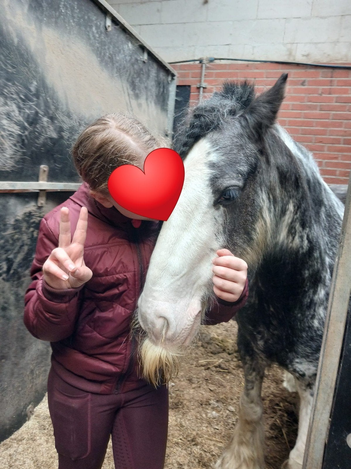 Opzoek naar een verzorg pony, Dieren en Toebehoren, Ophalen of Verzenden, Nieuw