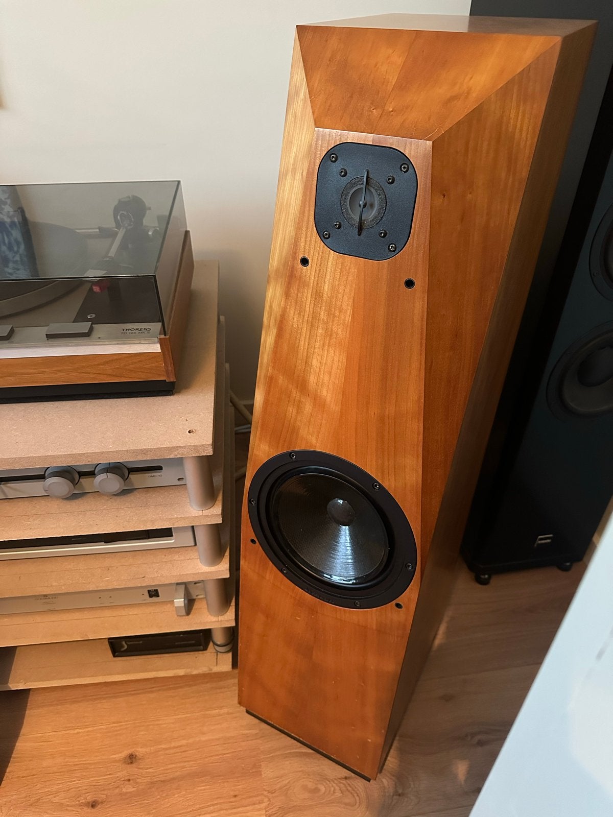 Avalon Acoustics Arcus Vloerstaande Luidsprekers, Audio, Tv en Foto, Luidsprekers, Ophalen, Gebruikt, Vloerstaande luidspreker