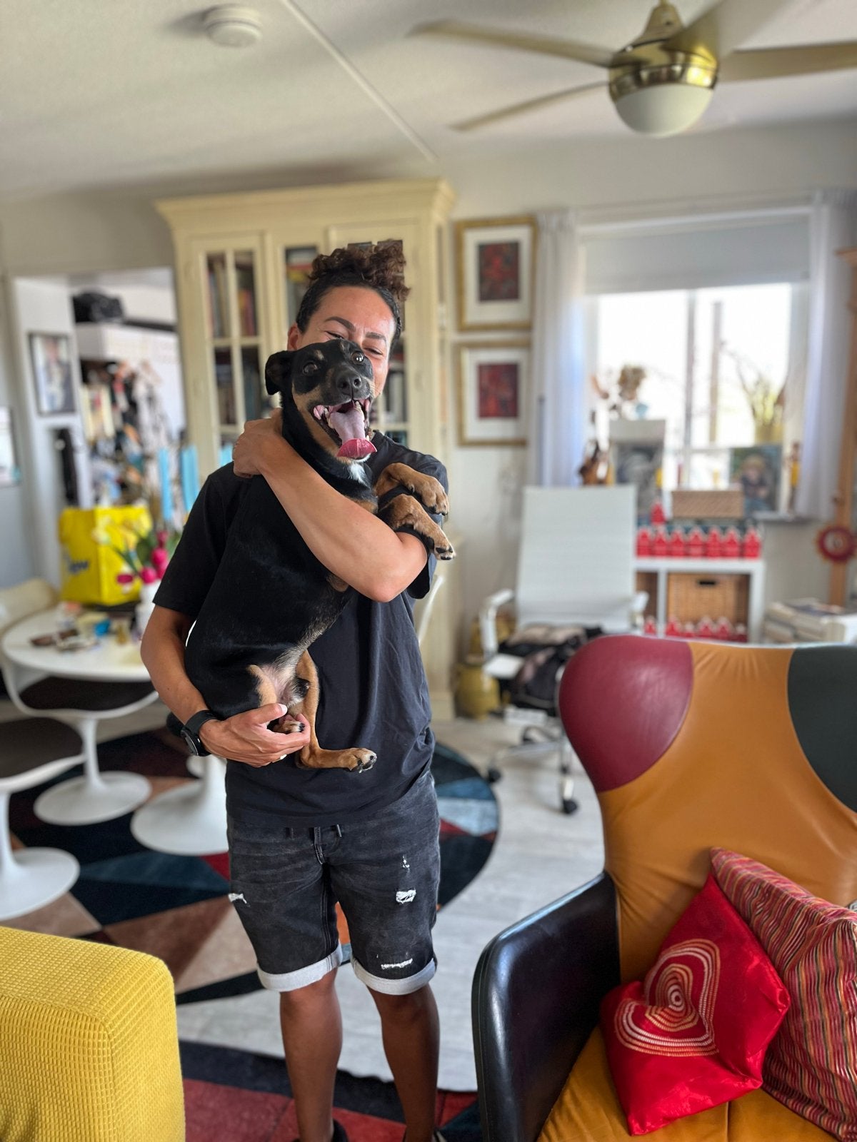 Prachtig gestroomlijnde Duitse Pinscher, Dieren en Toebehoren, Honden | Bulldogs, Pinschers en Molossers, 6 jaar of ouder, Reu
