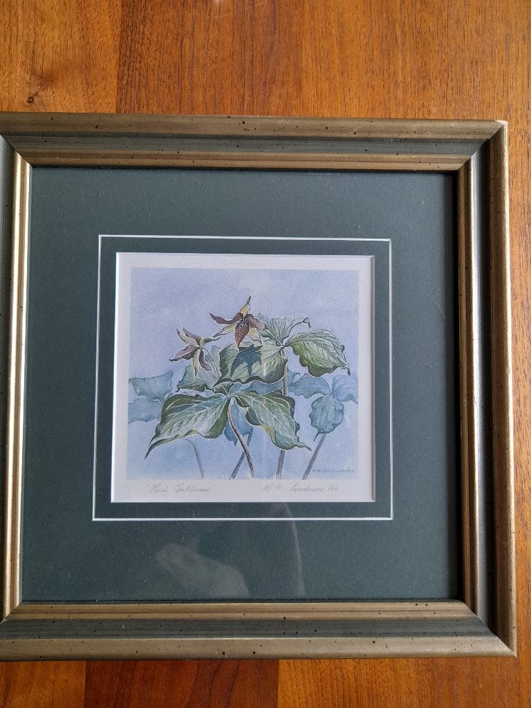 aquarel afdruk Canadese Mary Rose Sanderson Ontario, Ophalen, Klassiek, Bloemen, Papier
