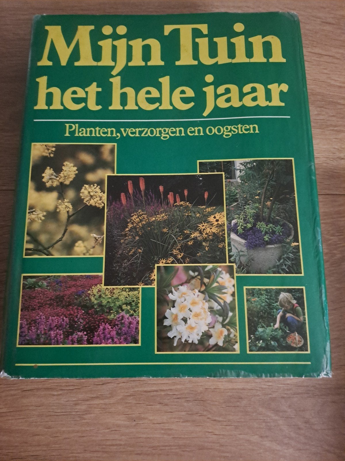 Mijn Tuin het hele jaar: Planten, verzorgen en oogsten, Boeken, Wonen en Tuinieren, Gelezen, Tuinieren en Tuinplanten, Ophalen of Verzenden