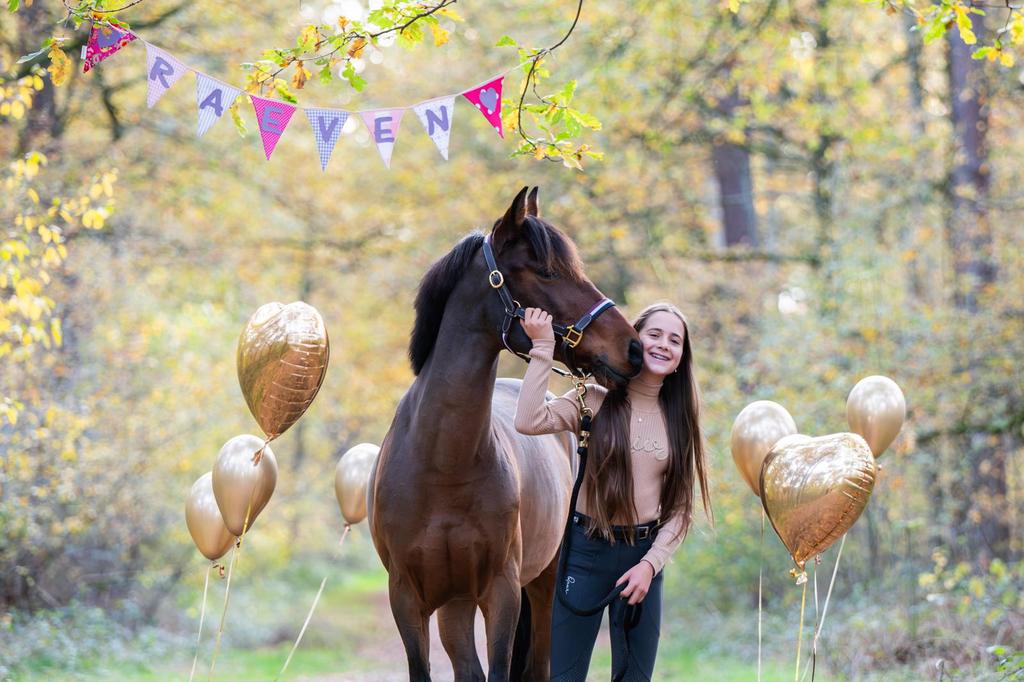 Allrounder pony te koop, Ophalen