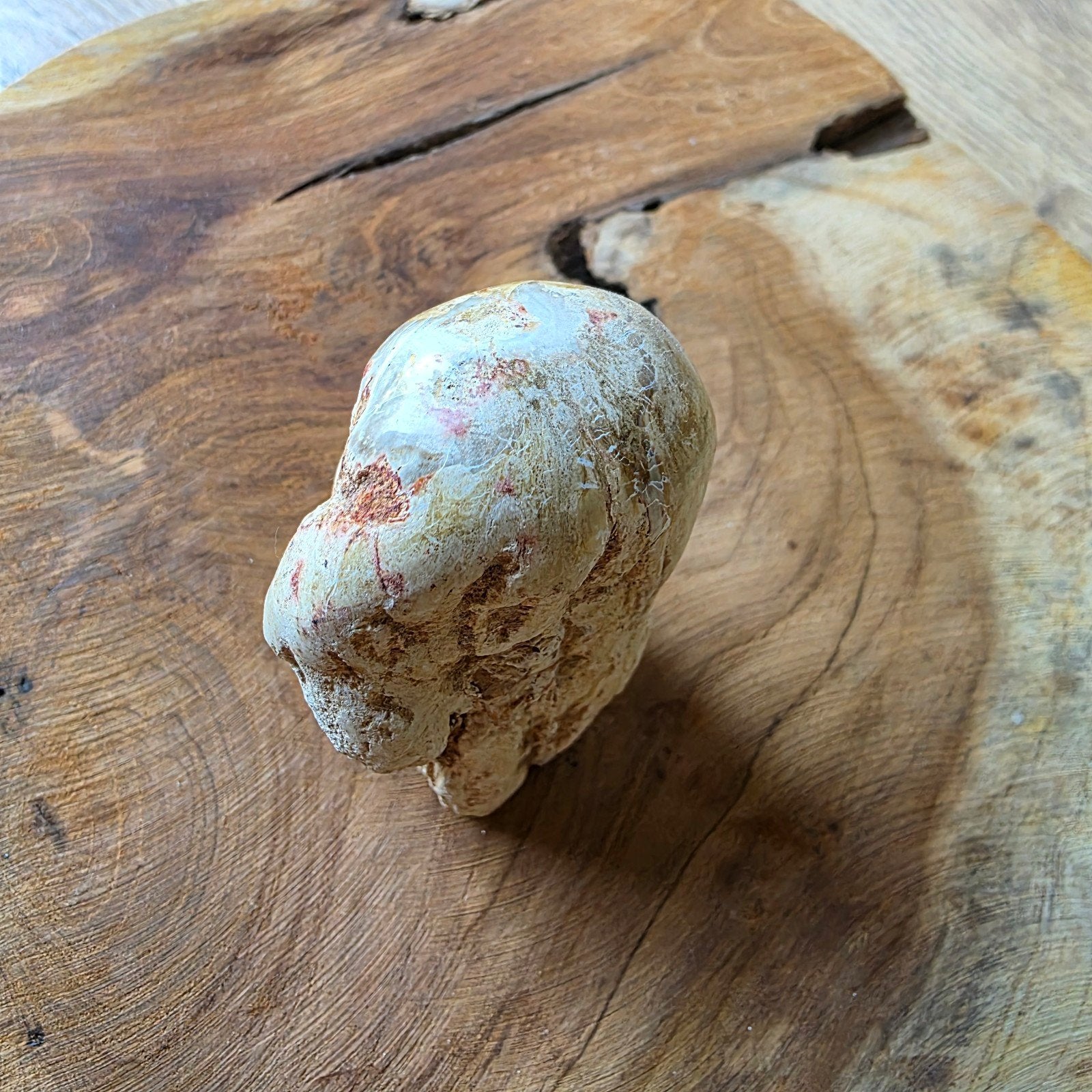 Versteend hout, Ophalen of Verzenden, Mineraal