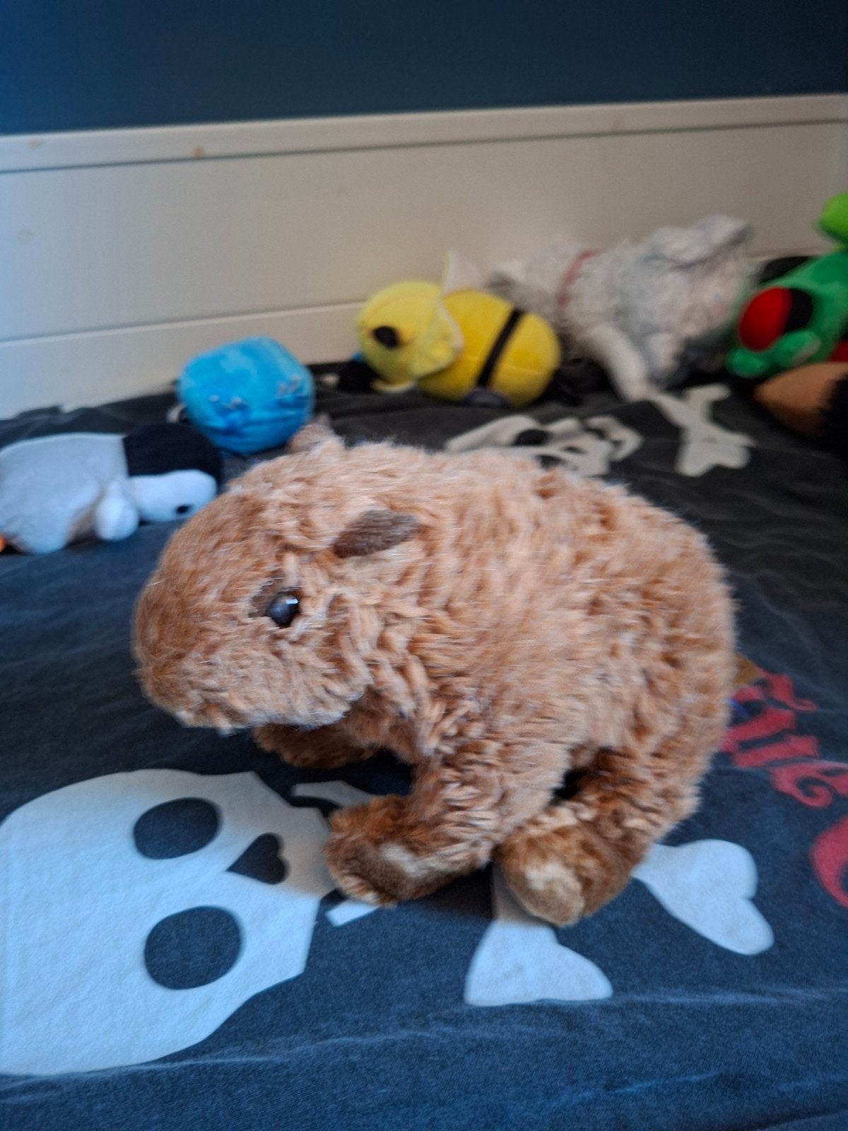 Schattige Capybara Knuffel uit artis, Kinderen en Baby's, Gebruikt, Overige merken, Overige karakters, Overige typen