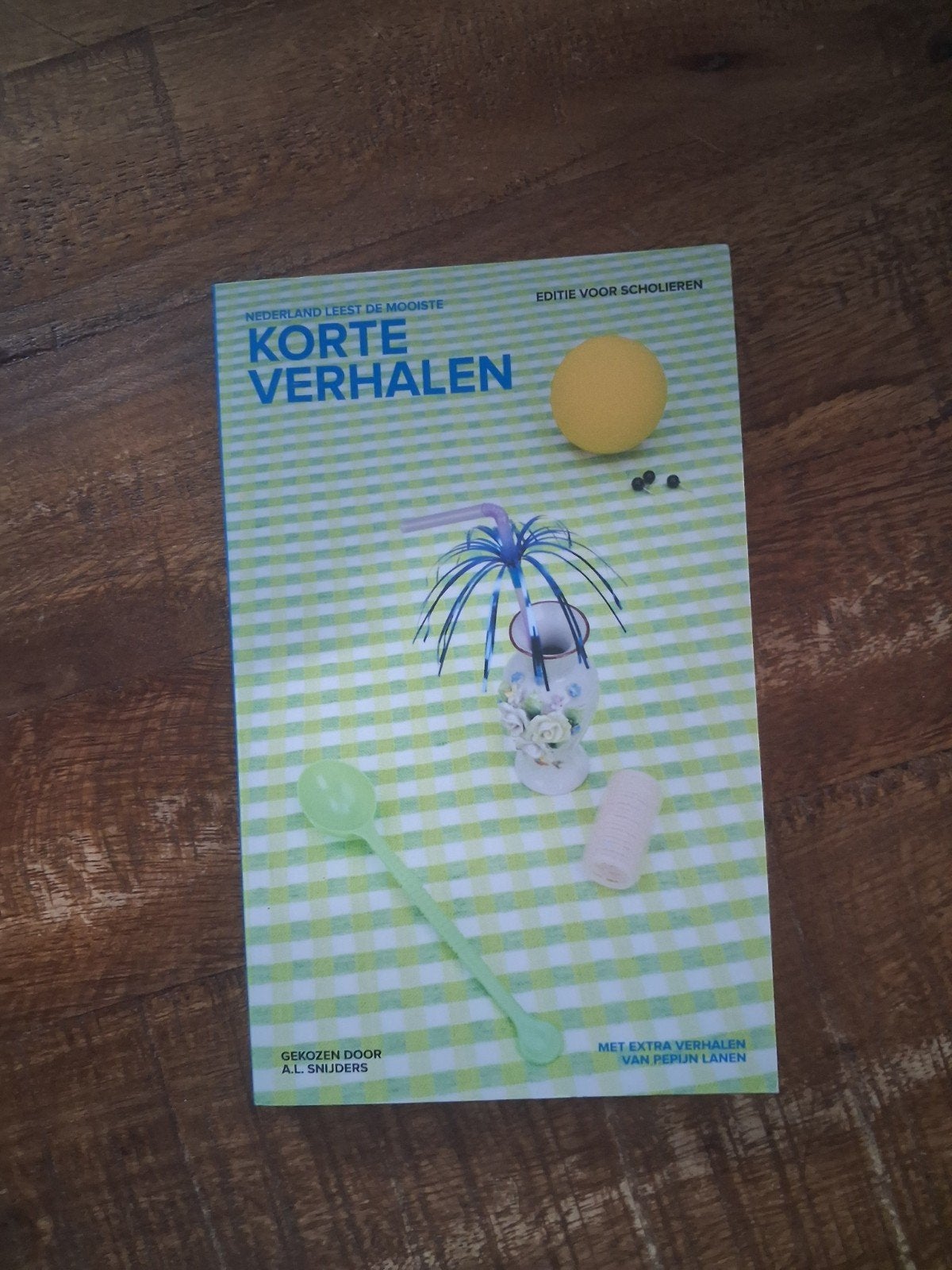 Nederland Leest: De Mooiste Korte Verhalen - A.L. Snijders, Boeken, Ophalen of Verzenden, Zo goed als nieuw, A.L. Snijders, Nederland