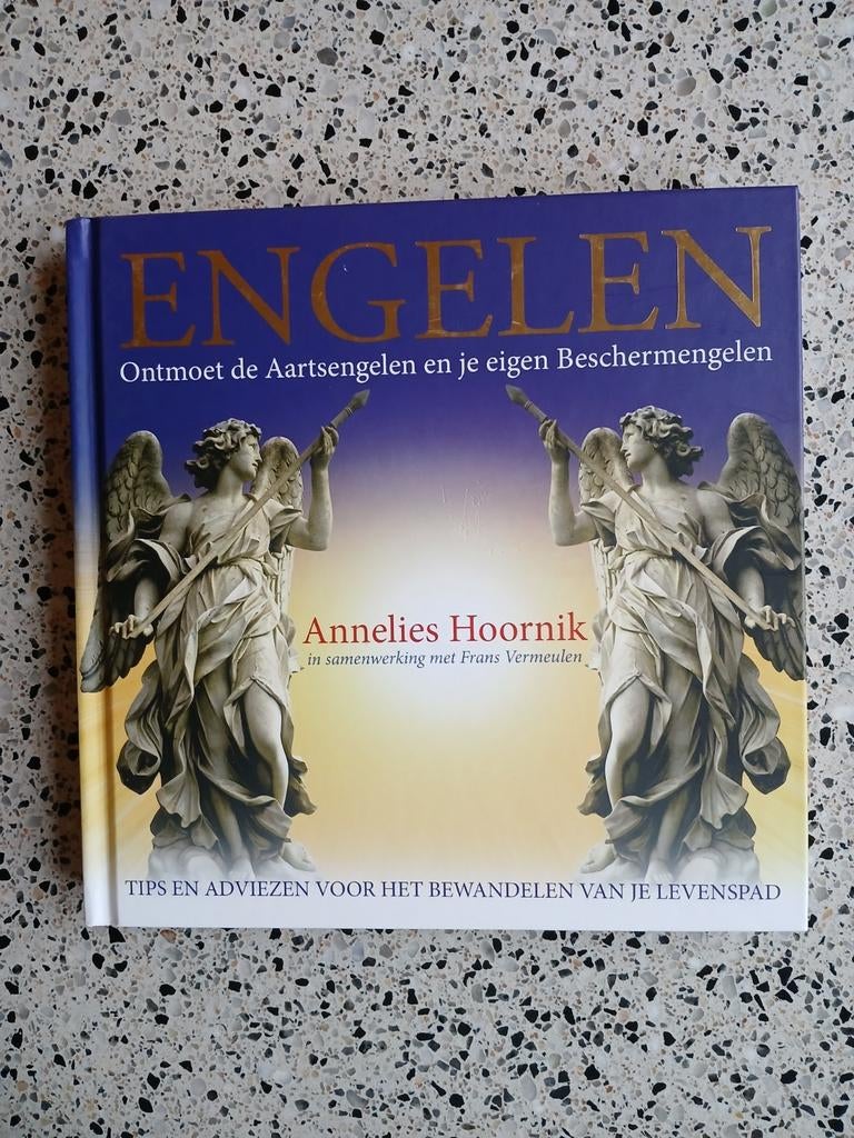 Engelen: Ontmoet Aartsengelen en je eigen Beschermengelen, Ophalen of Verzenden, Zo goed als nieuw