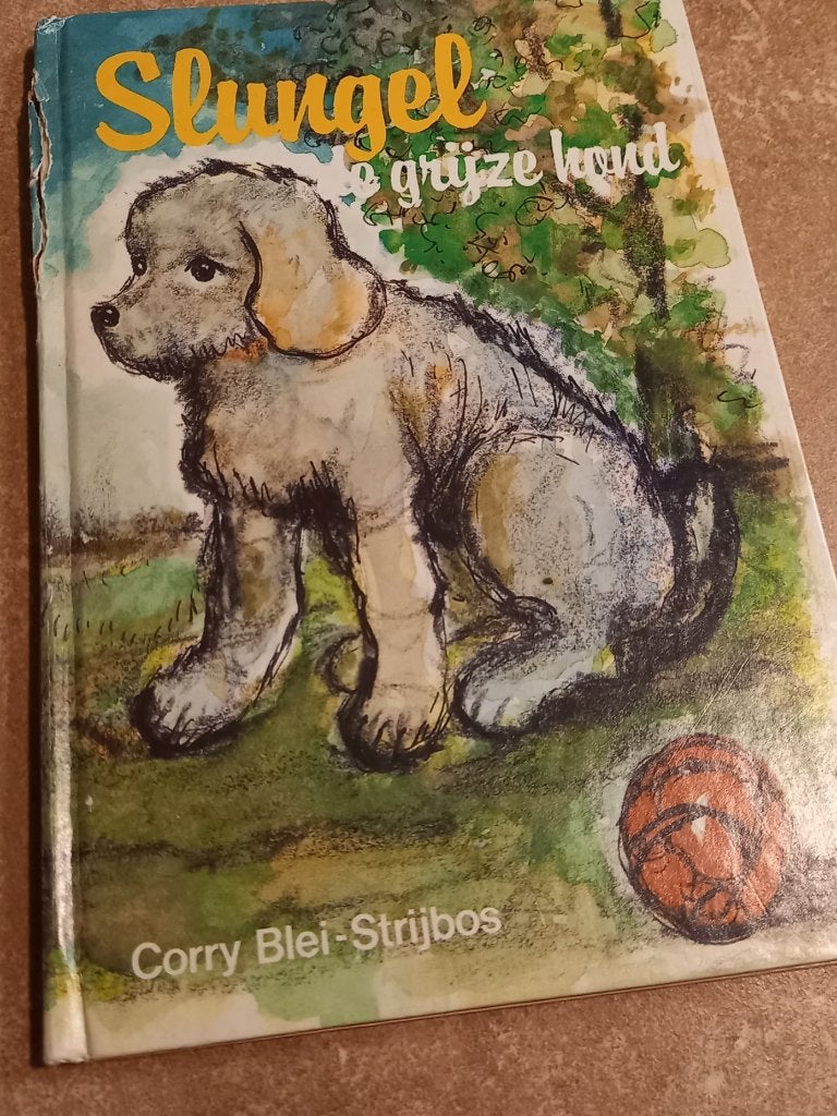 Kinderboekje Slungel, de grijze hond, Gelezen, Fictie algemeen, Ophalen of Verzenden, Corry Blei-Strijbos