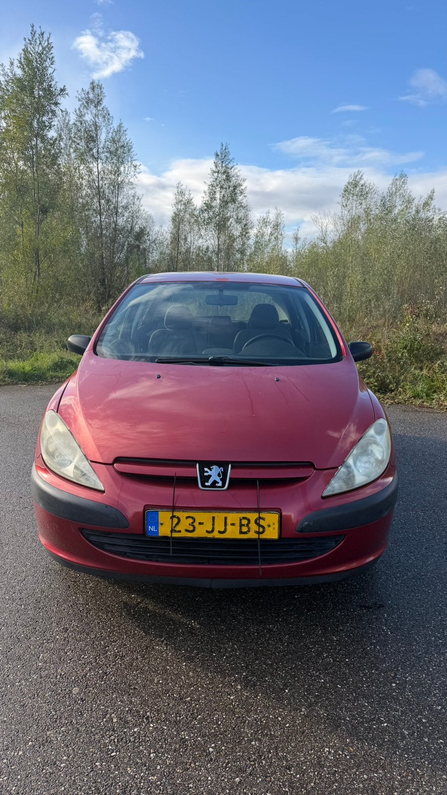 Peugeot 307