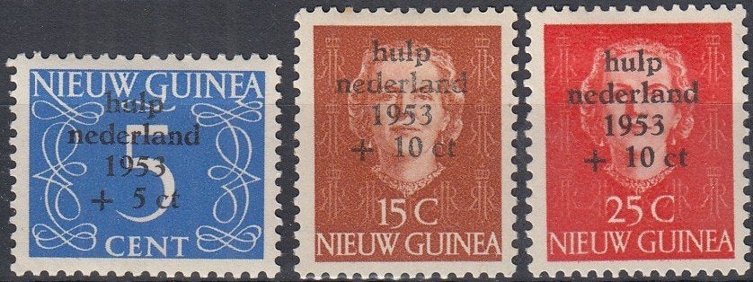 Nederlands Nieuw Guinea- 1953- Watersnood -21 -- O, Postzegels en Munten, Verzenden, Postfris, Zuidoost-Azië