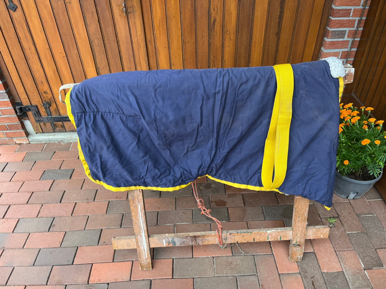 e koop mooie pony deken 110 voor C pony, Ophalen of Verzenden, Zo goed als nieuw