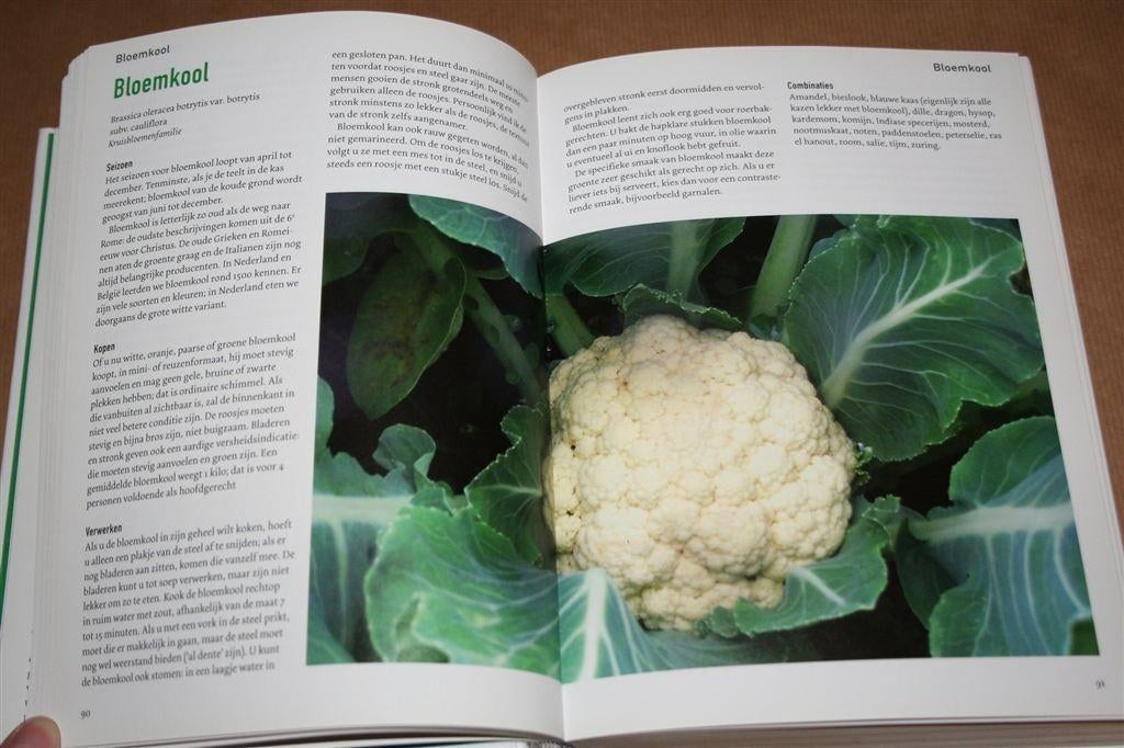 Groentebijbel. Van aardappelpuree tot zuringsoufflé., Ophalen of Verzenden, Zo goed als nieuw, Italië