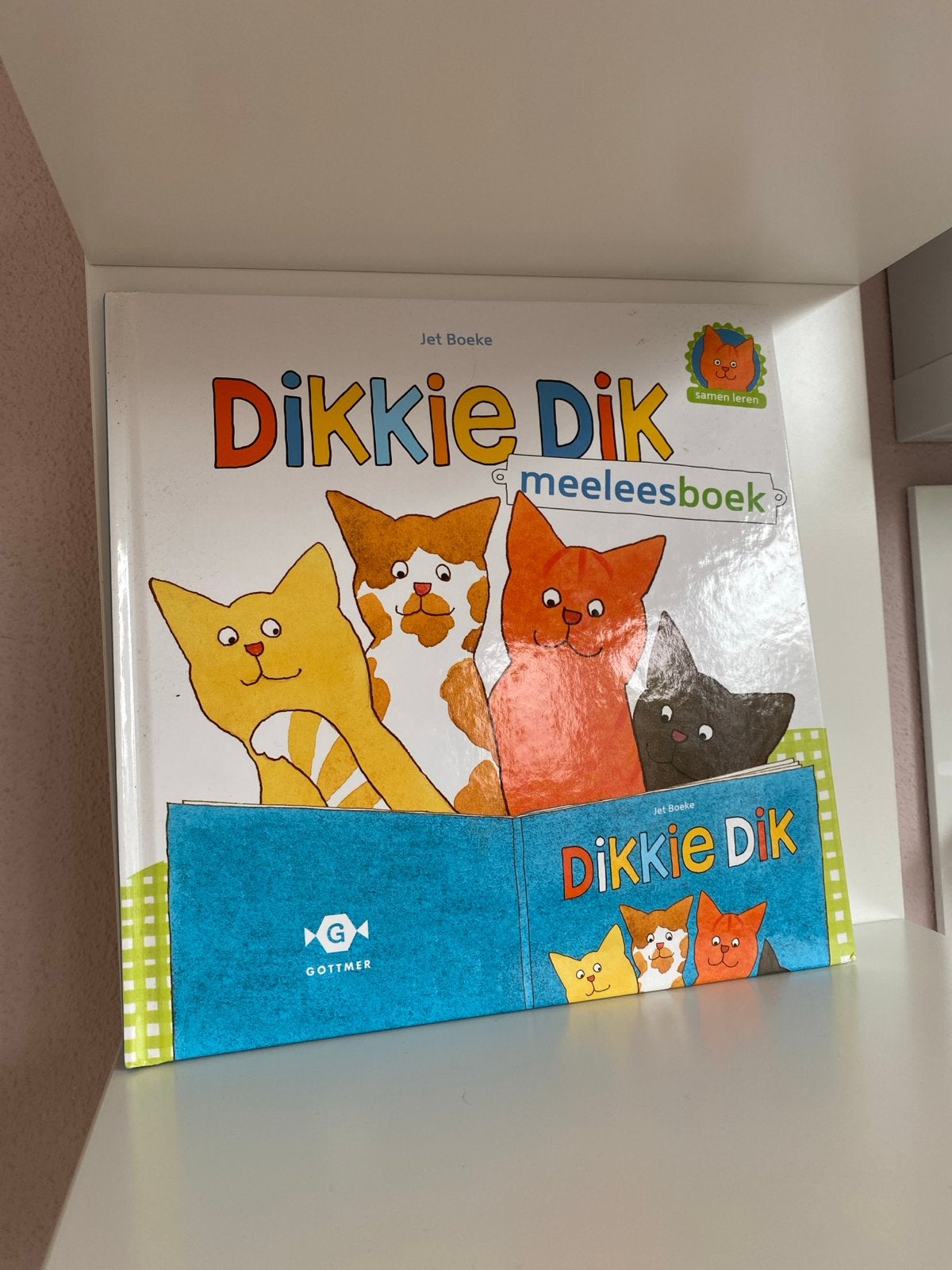 Dikkie Dik meeleesboek - Samen leren, Boeken, Fictie algemeen, Jongen of Meisje, Ophalen of Verzenden, Zo goed als nieuw