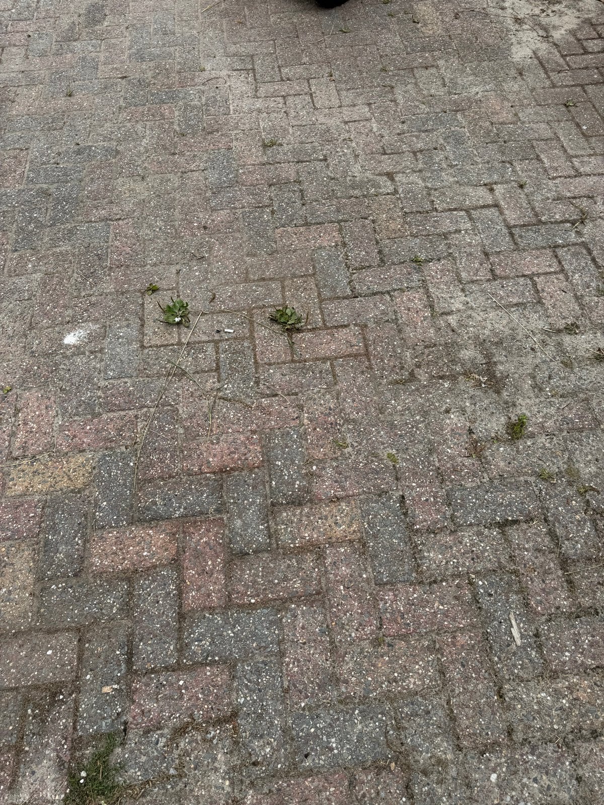 Gebruikte stenen voor ca.200m2 - Ideaal voor oprit of terras, Tuin en Terras, Tegels en Klinkers, Ophalen, Gebruikt, Klinkers