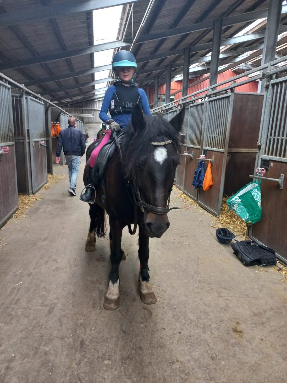 Verzorger aangeboden verzorg paard gezocht, Ophalen of Verzenden, Nieuw