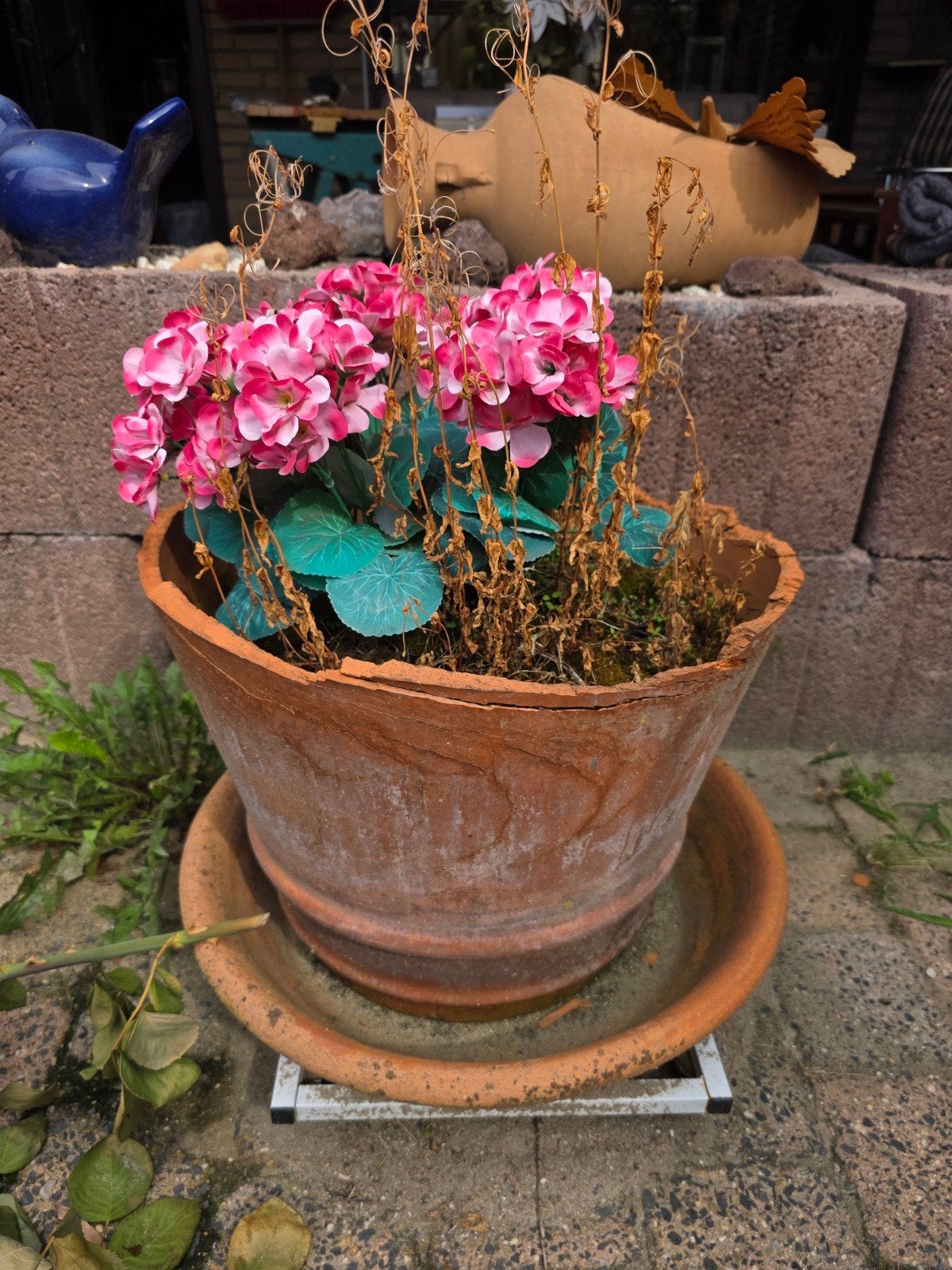 Gratis: Gebruikte Terracotta Bloempot met Schotel, Gebruikt, Rond, Minder dan 40 cm, Terracotta