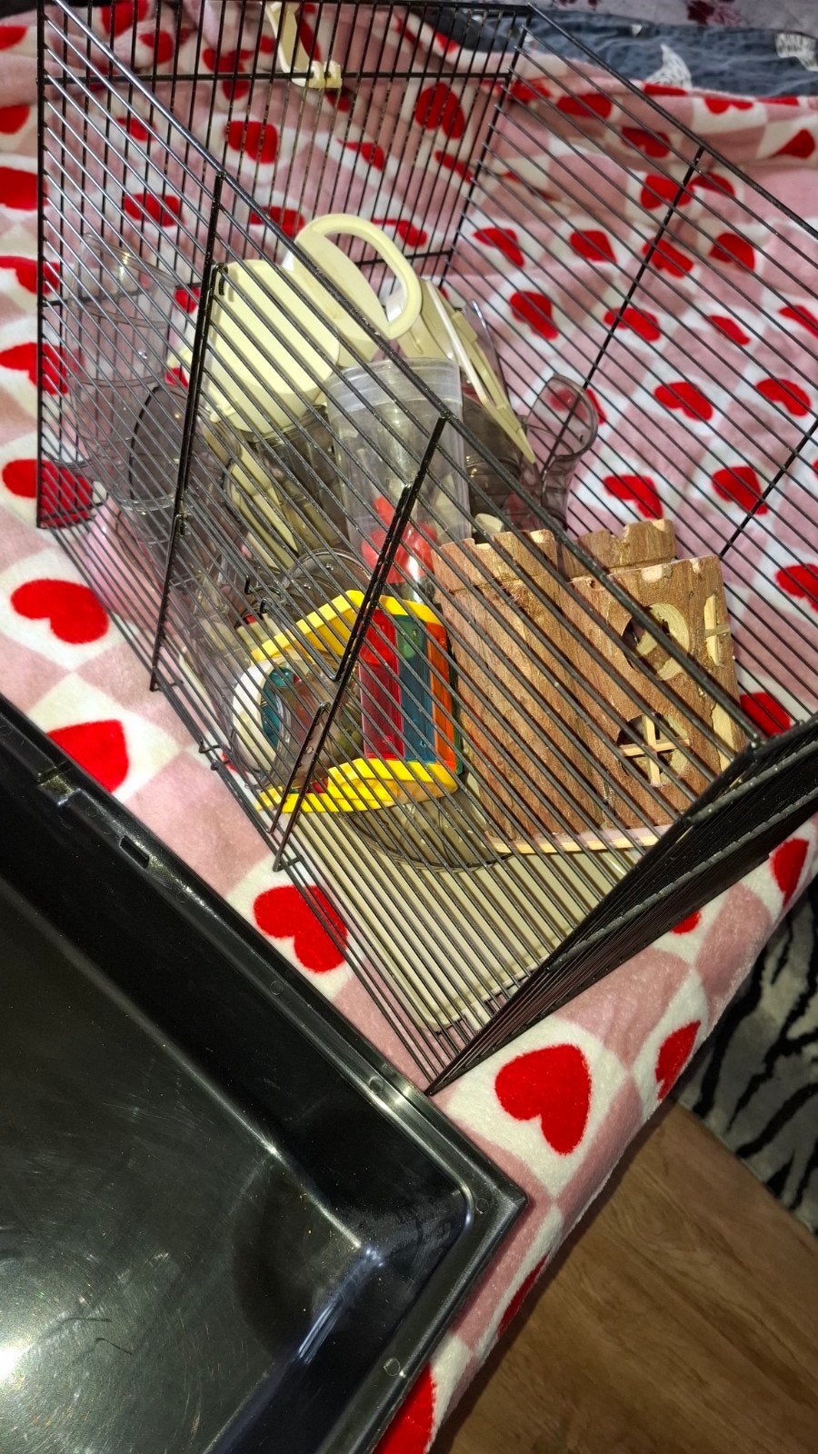 hamster kooi, Dieren en Toebehoren, Ophalen of Verzenden, Nieuw